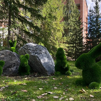 Зайцы-Кролики